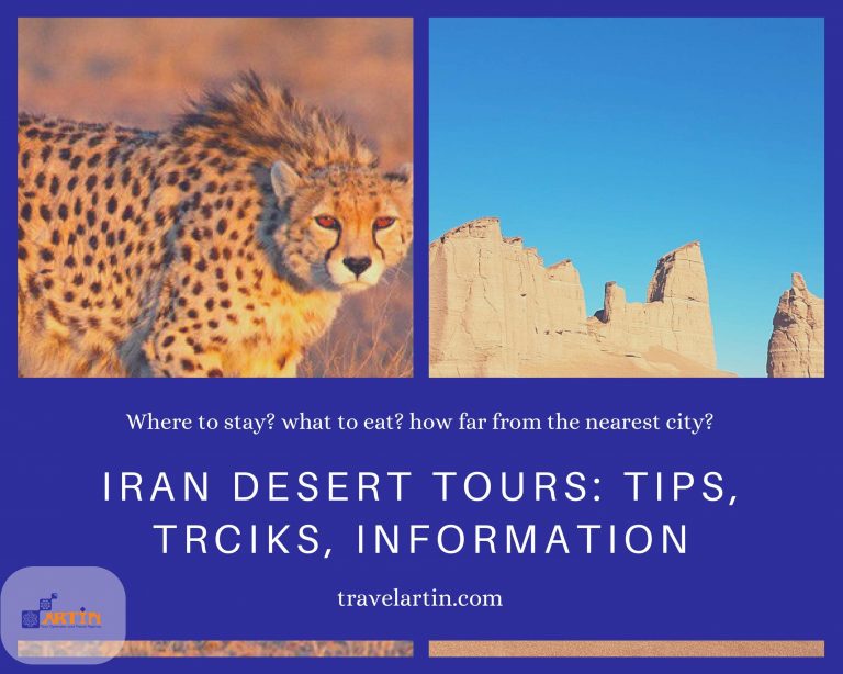 Iran desert tours guide Artin Travel