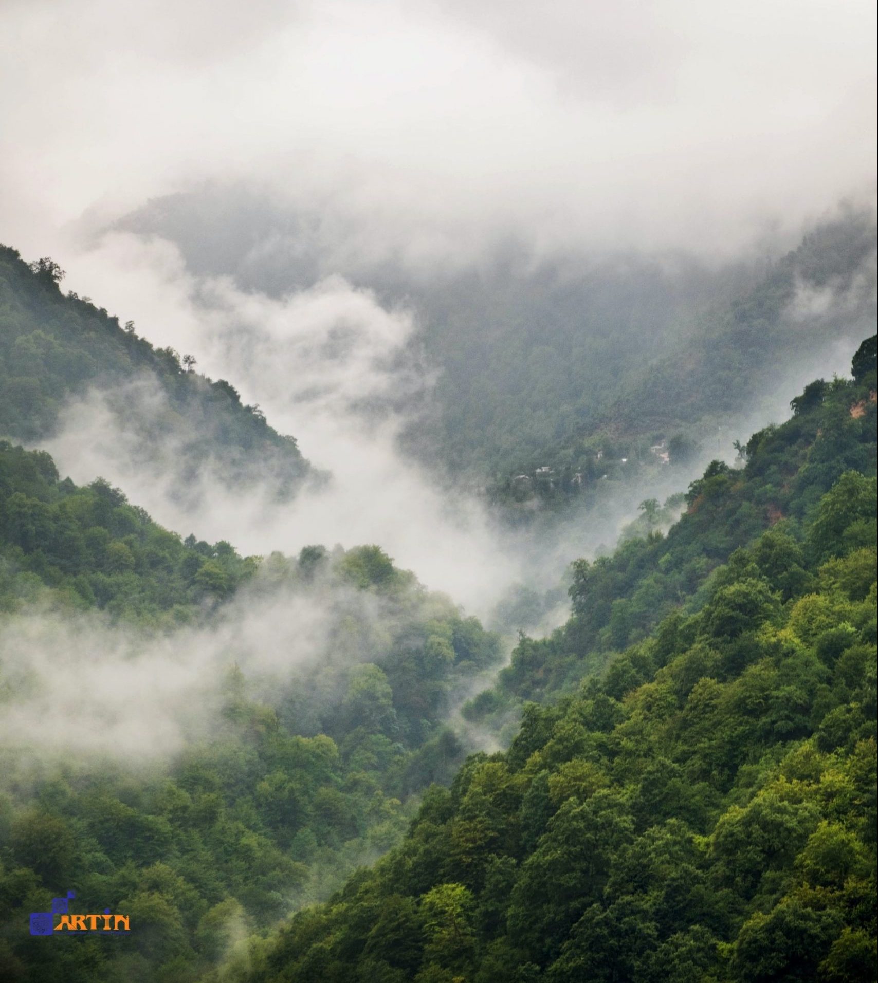 cloud forest jangale abr in iran natural tourist attractions